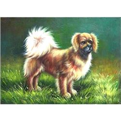 Tibetan Spaniel, Small Dog Oil Painting