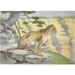 1920's Mountain Lion, Color Lithograph Print