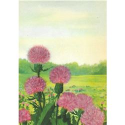1920's Plumed Thistle Color Lithograph Print