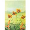 Image 1 : 1920's Meadow Lily Color Lithograph Print