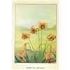 Image 2 : 1920's Meadow Lily Color Lithograph Print
