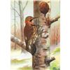 Image 1 : 1920's Flicker Color Lithograph Print