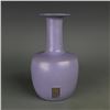 Image 1 : A PURPLE BOTTLE VASE MING DYNASTY.
