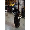 Image 3 : GOLF CLUBS IN BAG AND WALKING POLES