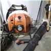 Image 2 : STIHL BACKPACK BLOWER, SILENCER ELECTRIC BOAT MOTOR BOTH NEED WORK AND BALDOR ELECTRIC MOTOR