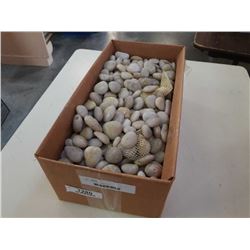 Box of decorative drain rock