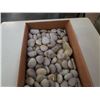 Image 2 : Box of decorative drain rock