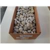 Image 3 : Box of decorative drain rock