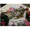 Image 2 : 4 ARTIFICIAL ORCHIDS