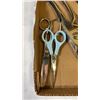 Image 3 : Tray of scissors