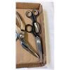 Image 4 : Tray of scissors