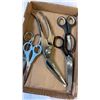 Image 5 : Tray of scissors