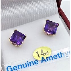 14KT YELLOW GOLD 6X6MM GENUINE AMETHYST EARRINGS - RETAIL $800