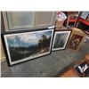 Image 1 : 3 FRAMED PICTURES