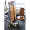 Image 1 : Life Fitness Calf Extension, Model FZCE