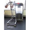 Image 1 : Life Fitness Standing Calf, Model PSSCSE