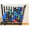 Image 2 : Misc. Dumbells and Rack