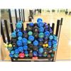 Image 2 : Dumbells with Rolling Rack