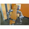Image 2 : Life Fitness Bicep Curl, Model FZBC