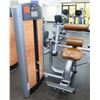 Image 1 : Life Fitness Back Extension, Model FZBE