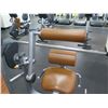 Image 2 : Life Fitness Back Extension, Model FZBE