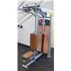 Image 1 : Life Fitness Pectoral Fly/Rear Deltoid, Model FZFRD