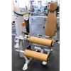 Image 1 : Hoist ROC-IT Leg Curl