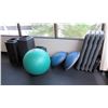 Image 1 : Aerobic Platforms & Risers, Exercise Ball and Balance Trainers