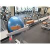 Image 2 : Life Fitness Leg Raise