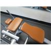 Image 2 : Life Fitness Abdominal Crunch Bench, Model SABC-0102