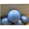 Image 2 : Exercise Ball and Balance Trainers