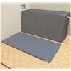 Image 1 : Approx. Qty 18 Zebra Athletic Mats