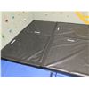 Image 2 : Black & Blue Padded Mats (Used at Base of Climbing Wall)