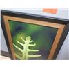 Image 2 : Framed Photographic Print - Fern