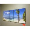 Image 2 : Palm Tree Photographic Art on Canvas - 5 Panels
