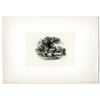 Image 1 : James Smillie Proof Engraving of ABNC Intaglio Vignette "Sheep Under the Oak" ca.1860-70's.