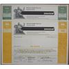 Image 1 : Shearson Hayden Stone Inc., 1977 Specimen Stock Certificate Pair