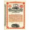 Image 1 : El Banco Territorial Domuciliado en Guayaquil, 1890's Specimen Bond