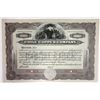 Image 1 : Chile Copper Co. 1910-20 Specimen Stock Certificate.