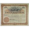 Image 1 : Chicago and North Cripple Creek Gold Mining Co. 1896 I/U Stock Certificate