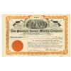 Image 1 : Pinnacle Junior Mining Co. 1901 I/U Stock Certificate