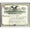 Image 1 : Doctor Martin Homaeopathic Family Medicine Co., 1899 I/U Stock Certificate.