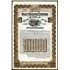 Image 1 : Boise Railroad Co. Ltd., 1906 Specimen Gold Bond.