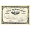 Image 1 : Texas. Denison City Water Co., 1880's Specimen Stock Certificate