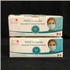 Image 1 : DISPOSABLE PROTECTIVE FACE MASKS (50 PIECES PER BOX)