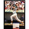 Image 1 : JOSE CANSECO SIGNED 8X10 PHOTO (PSA COA)