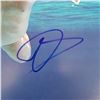 Image 2 : Dave Grohl Nirvana Signed Nevermind Album Cover W/ Vinyl Autographed (Beckett COA)