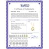 Image 2 : Genuine 0.25 ctw Peridot Necklace 14KT Yellow Gold - REF-29A2K