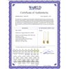 Image 2 : Genuine 6 ctw Citrine Earrings 14KT Yellow Gold - REF-21M9T