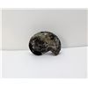 Image 1 : 25)  NATURAL BLACK ORTHOCERAS AMMONITE